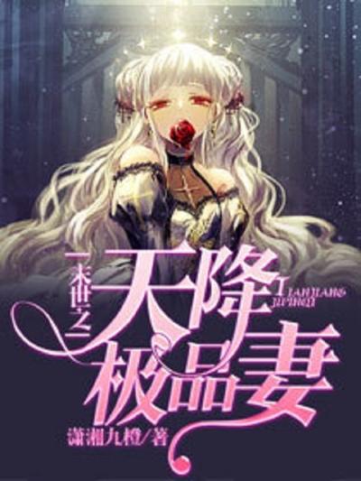 末世之天降极品妻