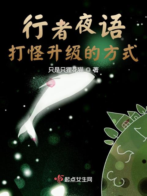 行者夜语：打怪升级的方式