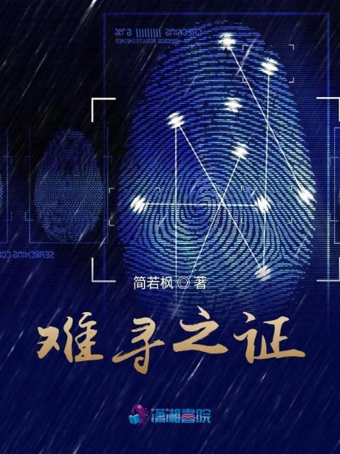 难寻之证