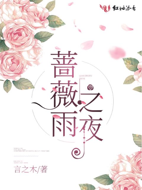 蔷薇雨之夜