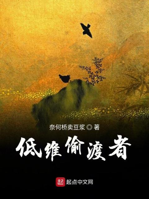 低维偷渡者