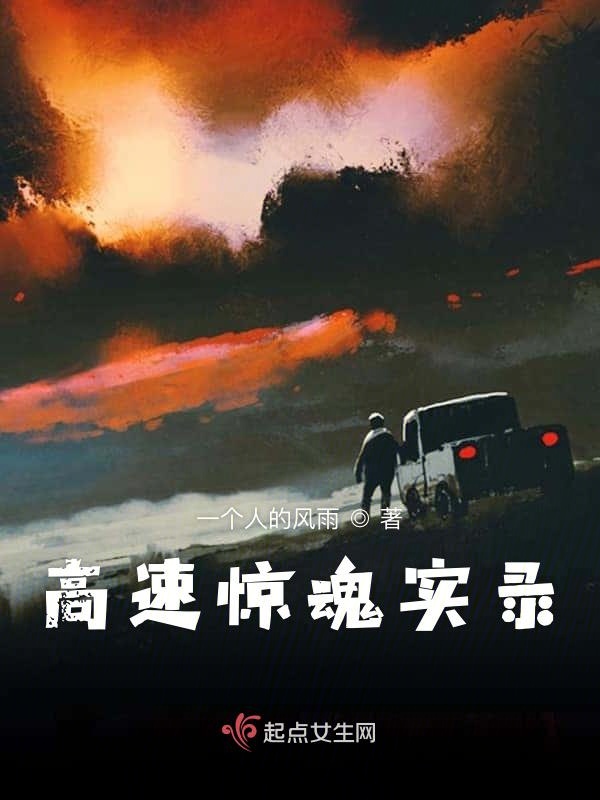 高速惊魂实录