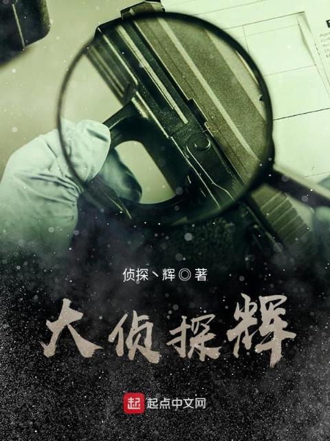 大侦探辉