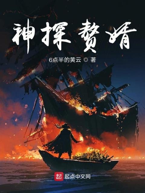 神探赘婿