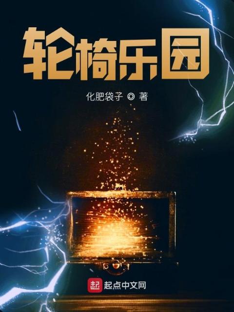 轮椅乐园
