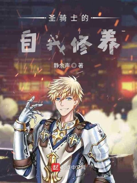 圣骑士的自我修养