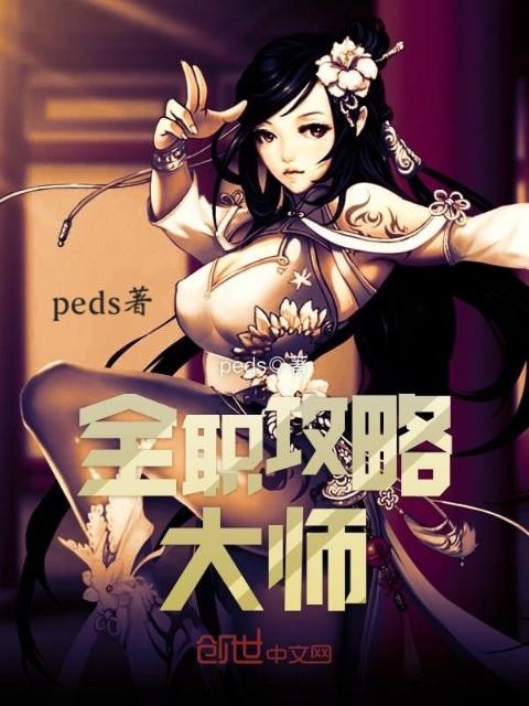 全职攻略大师