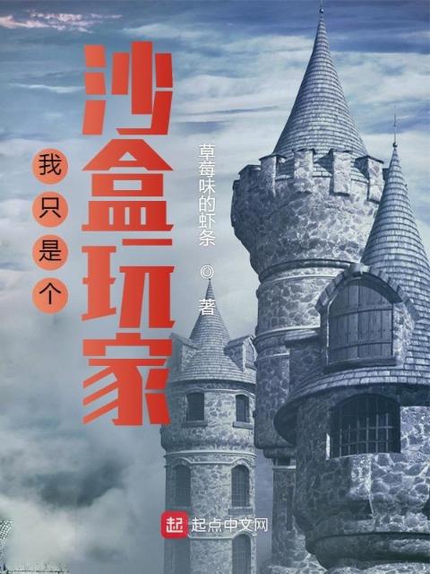 我只是个沙盒玩家