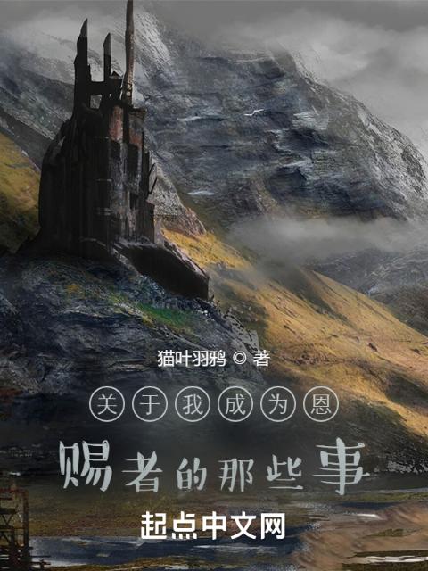 关于我成为恩赐者的那些事