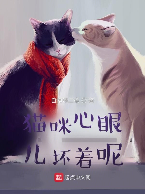 猫咪心眼儿坏着呢！