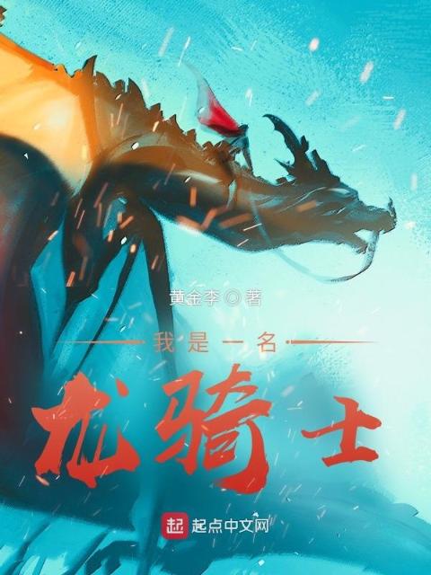 我是一名龙骑士