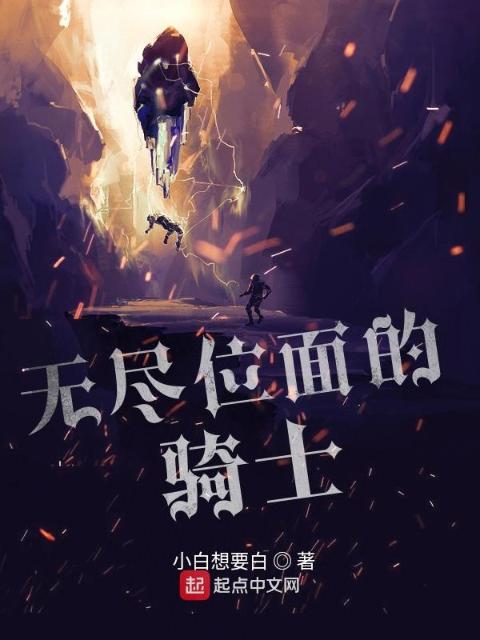 无尽位面的骑士