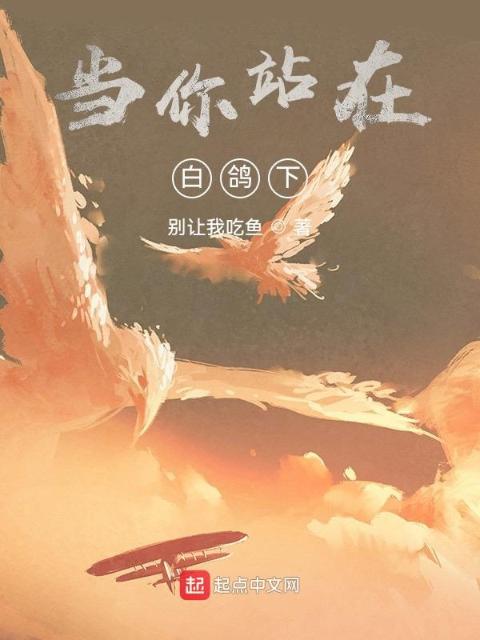 当你站在白鸽下