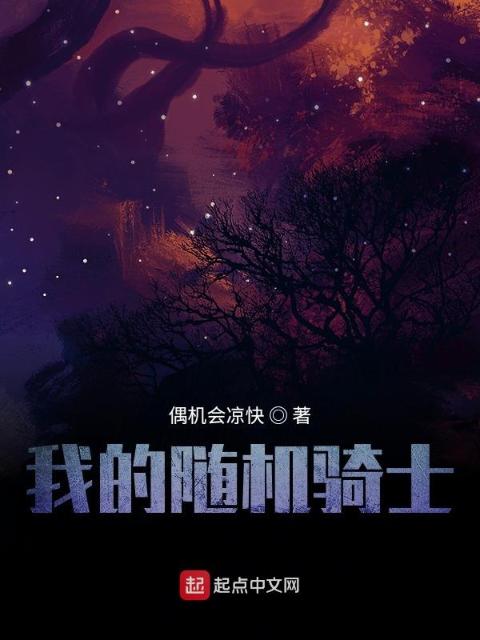我的随机骑士
