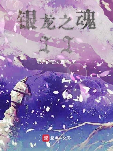 银龙之魂II