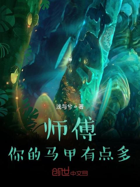师傅，你的马甲有点多