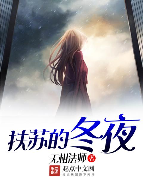 扶苏的冬夜