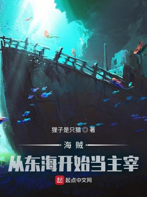 海贼：从东海开始当主宰