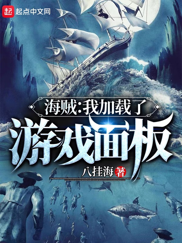 海贼：我加载了游戏面板
