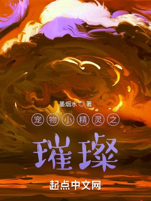 宠物小精灵之璀璨