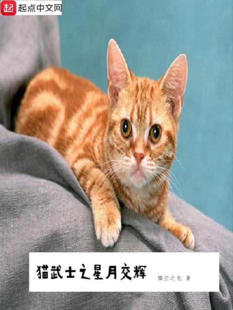 猫武士之星月交辉