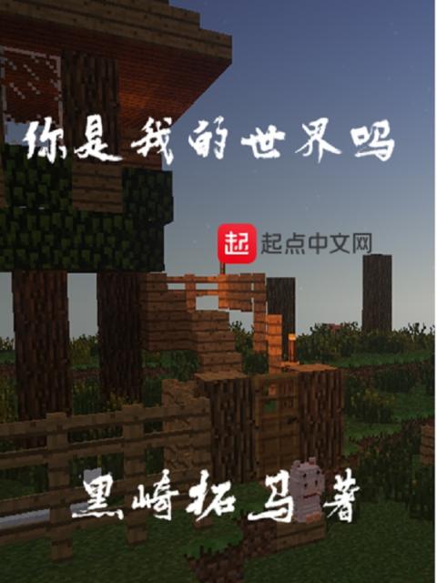 你是我的世界吗
