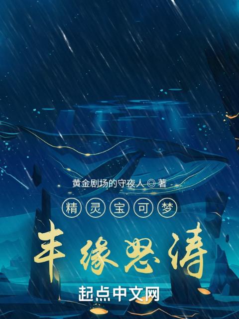 精灵宝可梦：丰缘怒涛