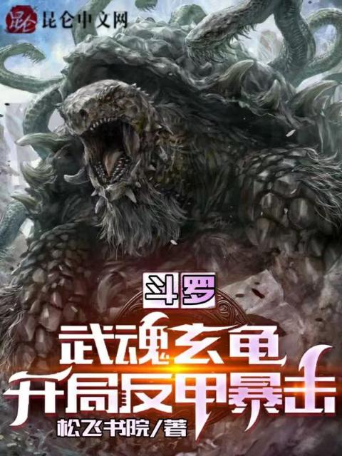 斗罗：武魂玄龟，开局反甲暴击