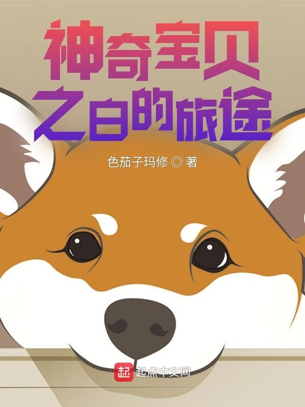 神奇宝贝之白的旅途