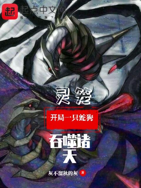 双面荡夫(双)作者:远上白云间小说