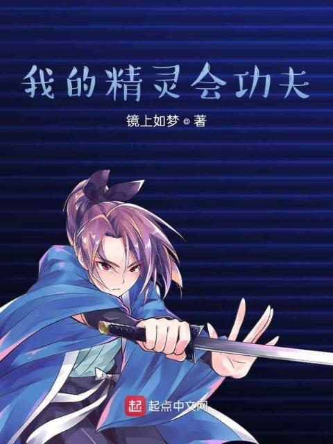 我的精灵会功夫