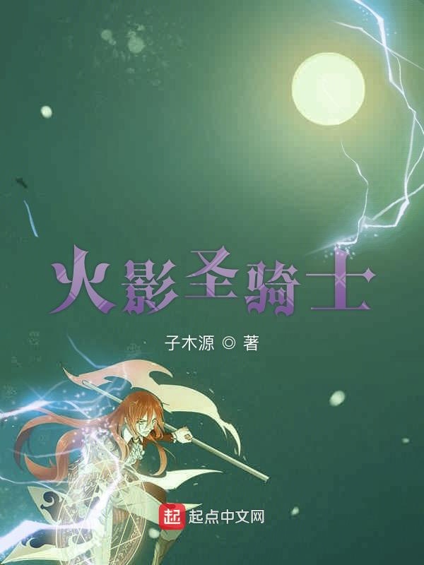 火影圣骑士