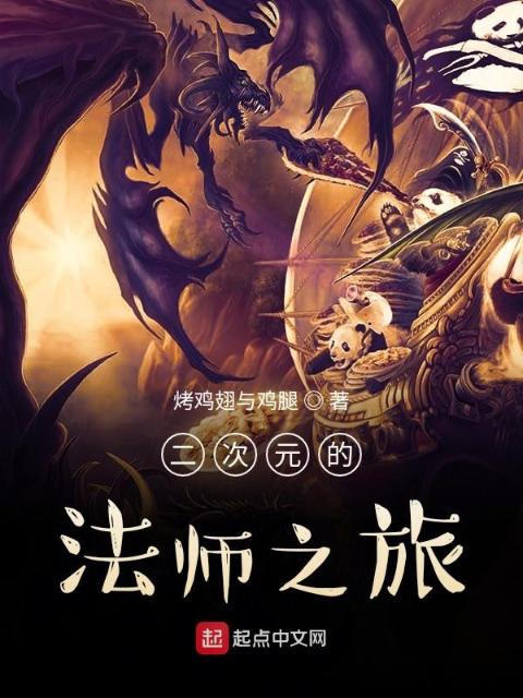 二次元的法师之旅