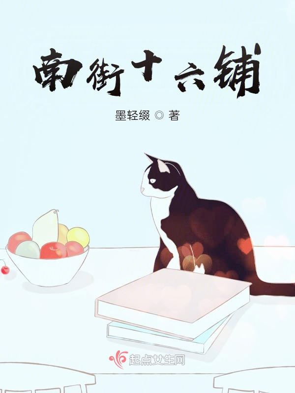南街十六铺