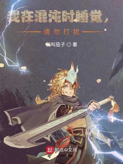我在混沌睡觉中，请勿打扰