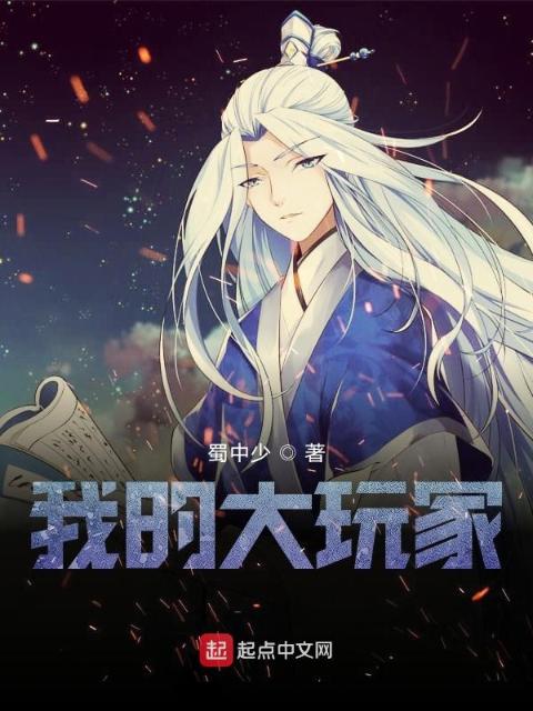 我的大玩家