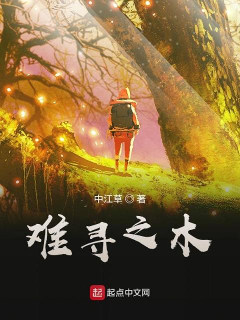难寻之木