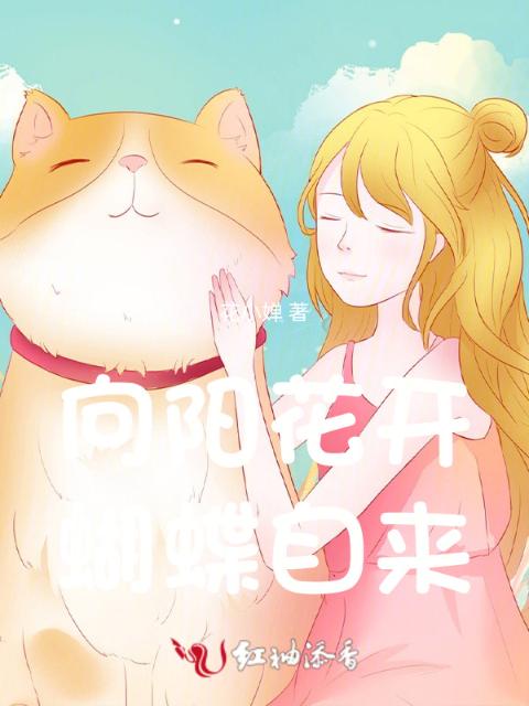 向阳花开，蝴蝶自来