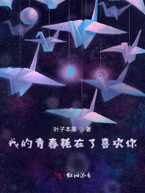 我的青春耗在了喜欢你