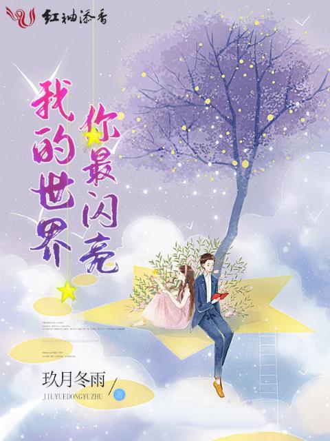 我的世界你最闪亮