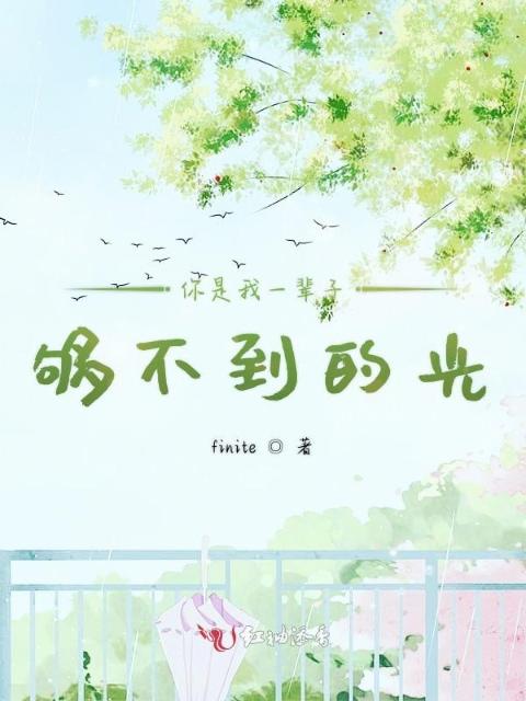 你是我一辈子够不到的光