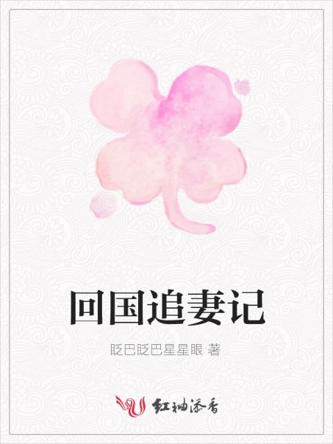 回国追妻记