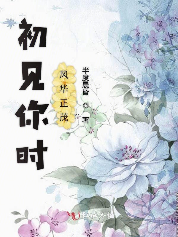 初见你时风华正茂