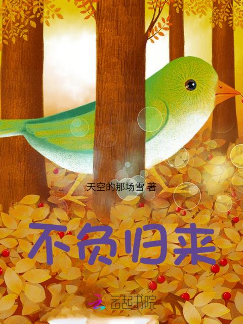 不负归来