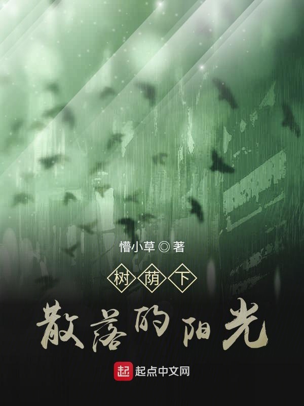 树荫下散落的阳光