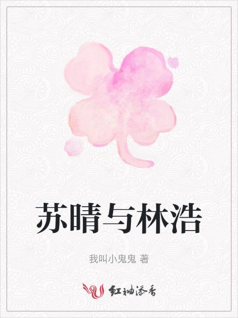 苏晴与林浩