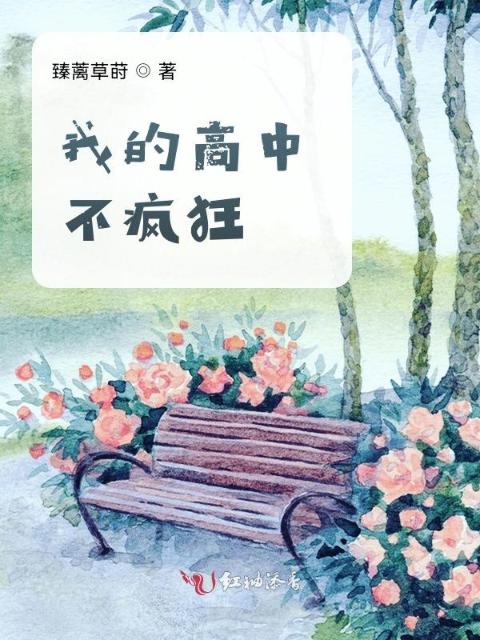 我的高中不疯狂