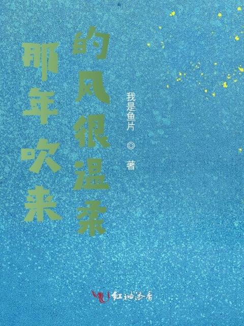 那年吹来的风很温柔
