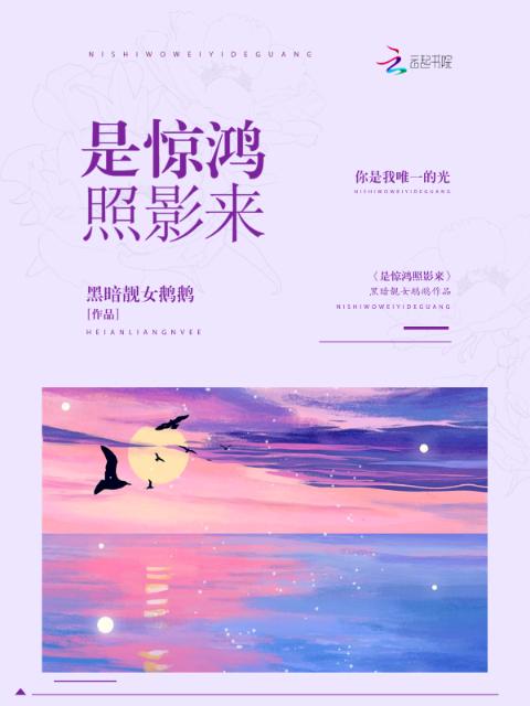 是惊鸿照影来