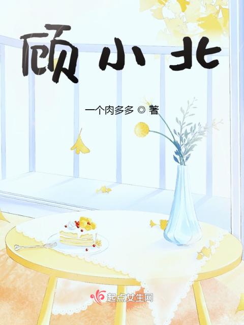 顾小北